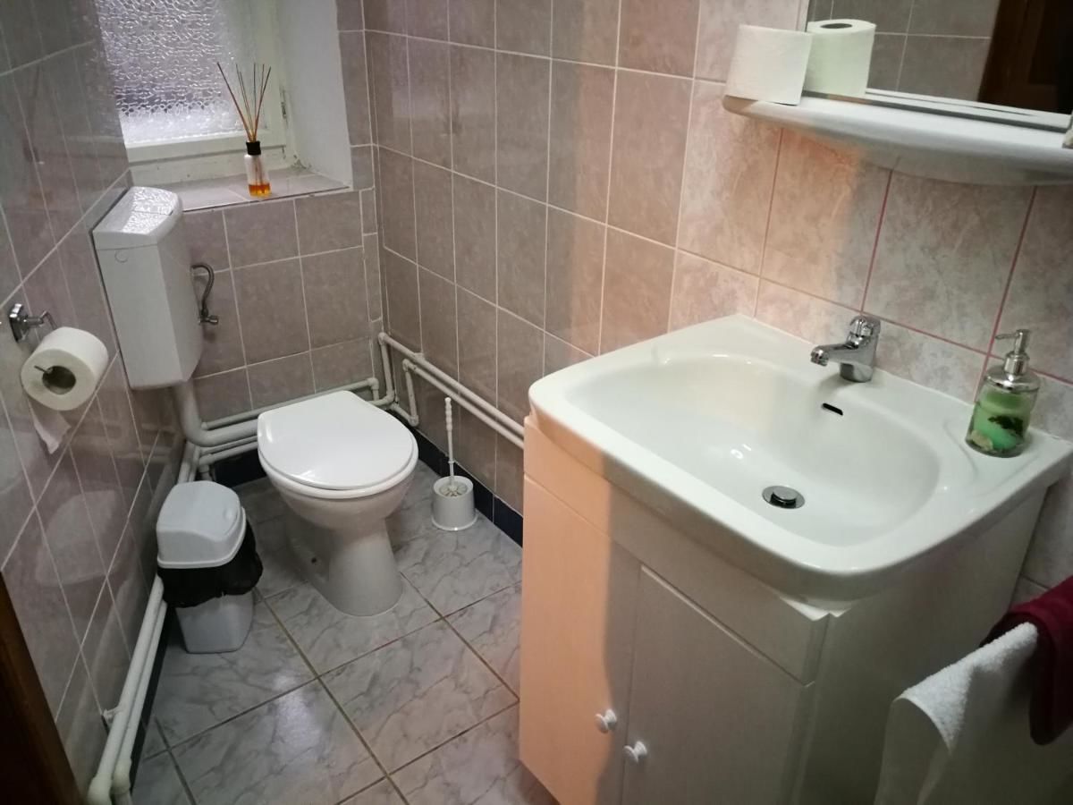 Проживание в семье Homestay Marius Сибиу-14