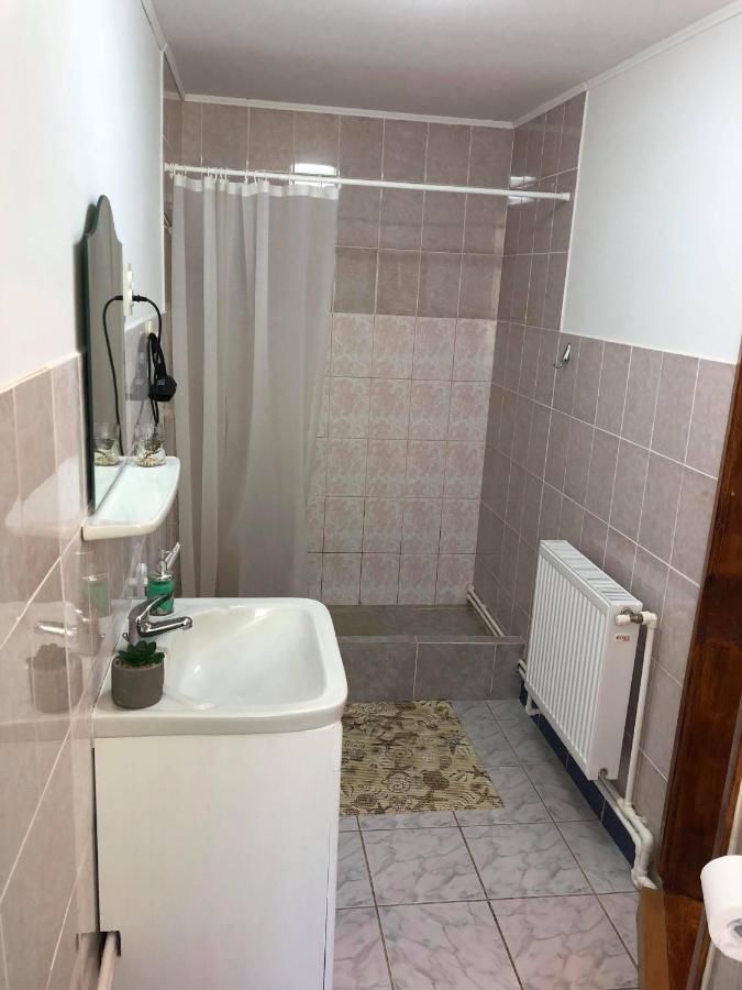Проживание в семье Homestay Marius Сибиу-12